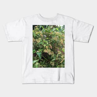 Hummingbird Hawk Moth on Milkweed Kids T-Shirt